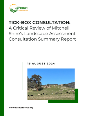 Consultation report