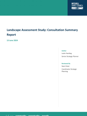 msc consultation report